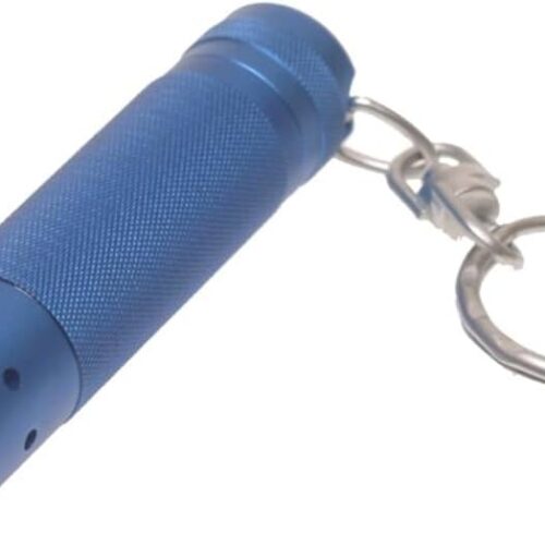 Ledlenser V2 Keyring Torch Blue